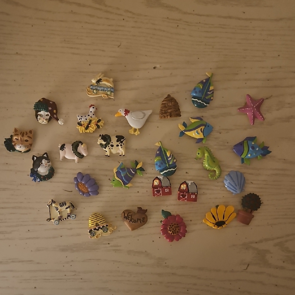 Colorful Decorative Magnets Set
